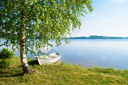在芬兰深处某的湖岸上图片