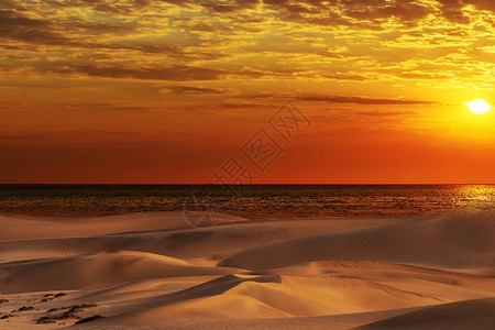 Namib沙漠美丽的沙丘图片