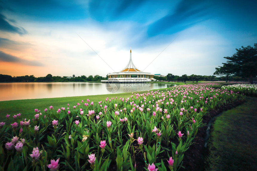 泰国曼谷松朗拉马九公园的美丽景色图片