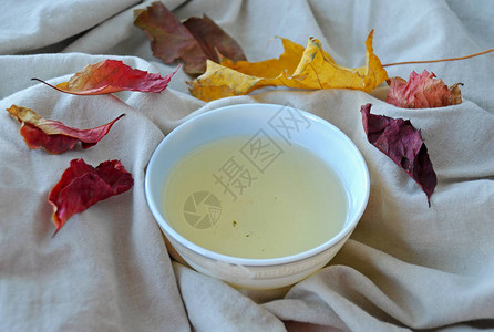 白色盘子的乌龙绿色茶叶图片