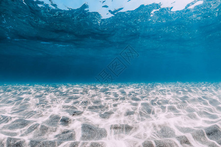 巴哈马热带蓝色海洋在巴哈图片
