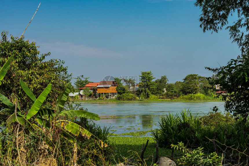 柬埔寨暹粒热带乡村地区的美丽乡村景色图片