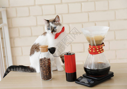 白猫咖啡师替代手动冲咖啡滴灌式过滤器红咖啡研磨机电子图片