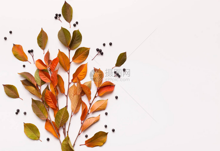 秋年长者的布束黄叶和棕叶印在白色背景上图片