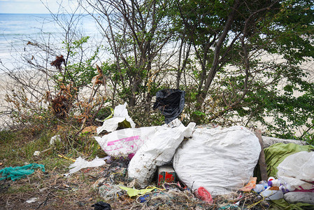 带袋塑料瓶的海中垃圾和岛上其他垃圾沙滩脏海洋中塑料垃圾污图片