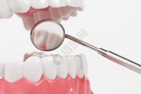 牙科模型和牙科工具图片