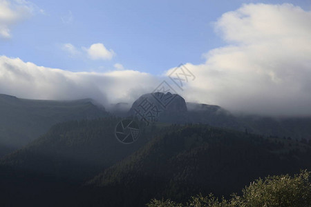 春天美丽的绿色景和土耳其东北部农村地区背景图片