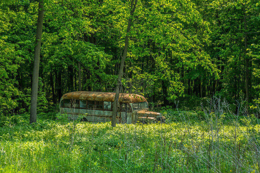 废弃的老式校车在田野里腐烂图片