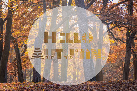 横幅你好秋天新的一个月问候卡的秋天秋天在公园里照片中的文字秋天公园图片