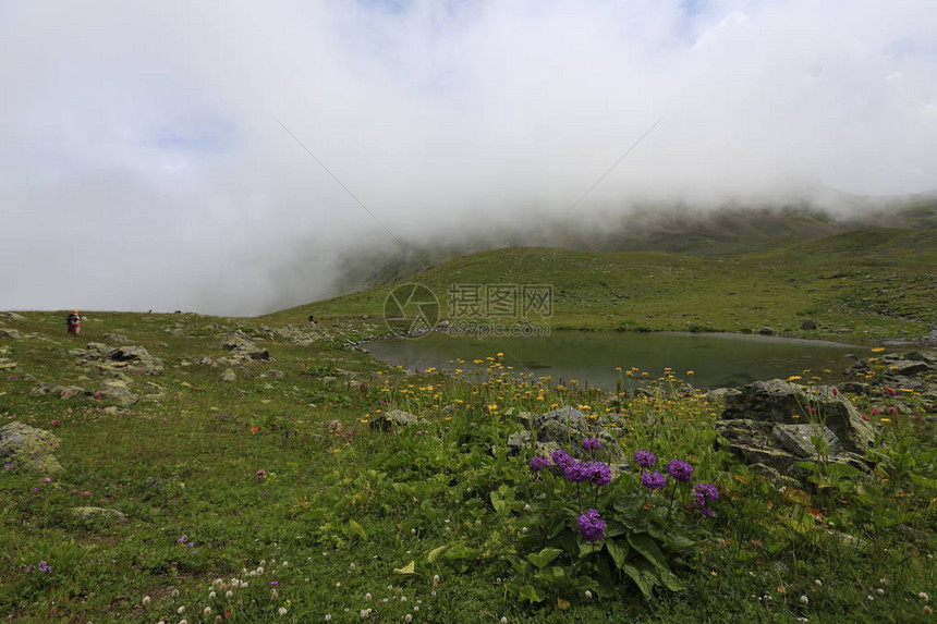 黑海RizeAmbarli高原土耳图片