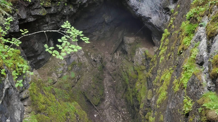 森林岩石之间峡谷的顶视图影视素材两个长满苔藓的悬崖挂在小峡谷上图片