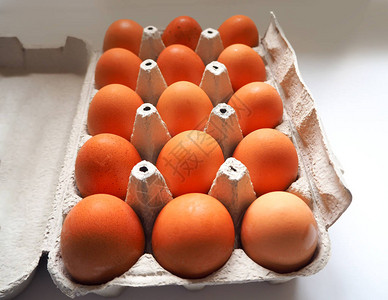 一包15块棕色新鲜生鸡蛋放在白色背景的白箱蛋高清图片