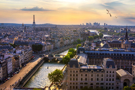 鸟儿飞过城市巴黎市鸟瞰全景巴黎是法国的首都和人口最多的城市图片
