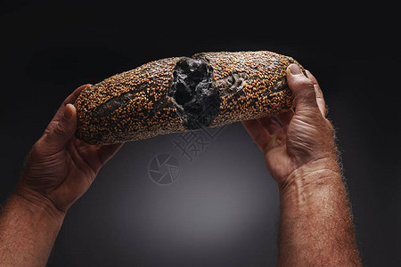 黑色背景上的自制酸面包法式长棍面包和面包师手图片