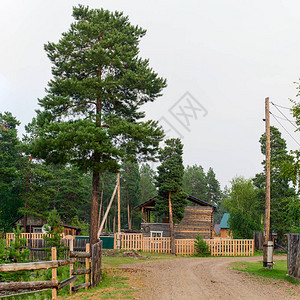 村路的叉子上装有北方森林用松木制成的木屋图片