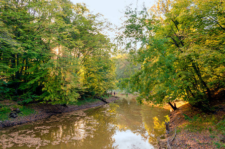 秋天的温暖日秋天的风景池塘与岸边和树木的图片