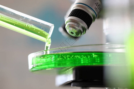 从玻璃容器上的试管中倒出绿色物质的显微镜图片