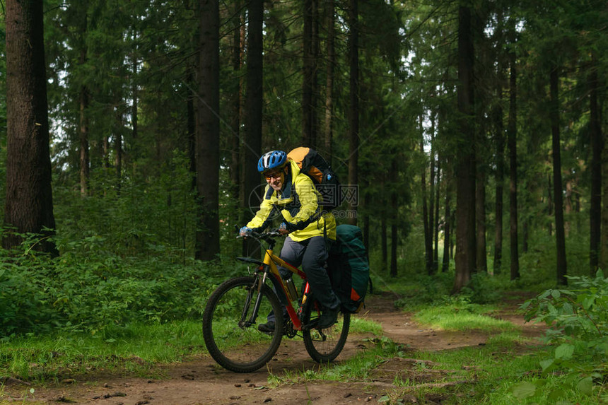 在秋天的森林里男骑自行车的徒步骑沿一条宽阔图片