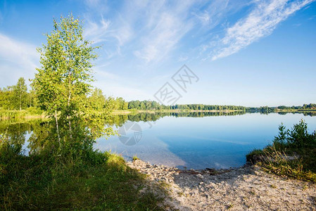 蓝湖全景背景中森林为森背景图片