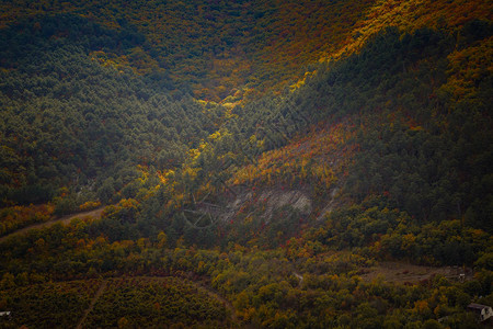 秋天的山丘图片