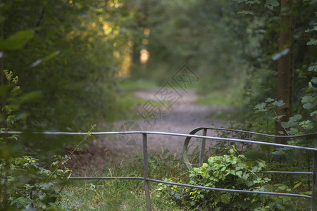 林道前铁桥栏杆图片