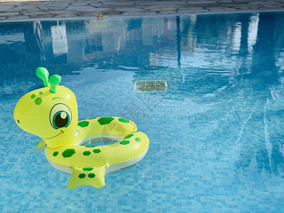 蓝水游泳池上的漂浮儿童动物环夏季阳光图片