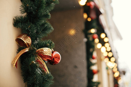 时尚的圣诞冷杉树枝图片