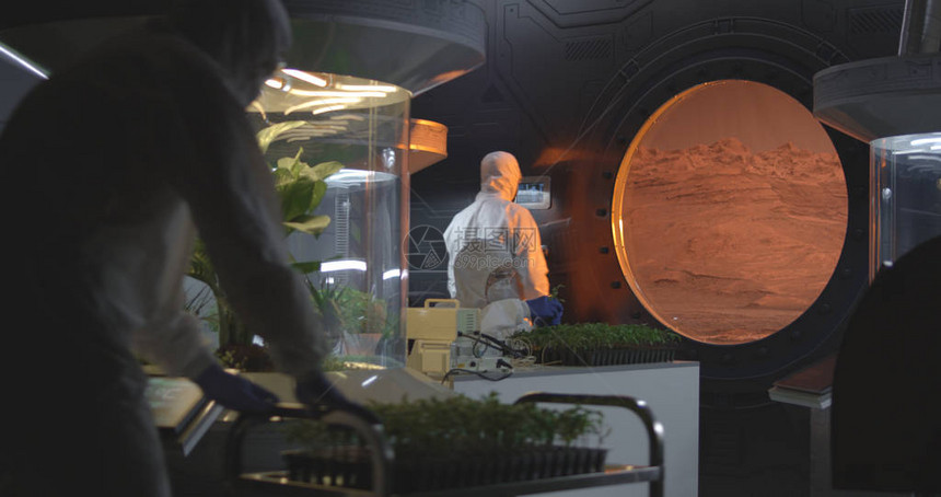 与火星基地实验室中的植物孵化器合作的中度图片