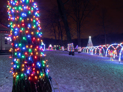led雪花舞台背景多色LED圣诞连线灯将树的干包起来背景