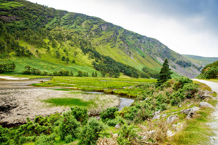 爱尔兰威克洛县格伦达洛谷的古典风景图片