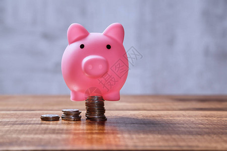 收入金融投资养老金和股市概念粉红猪图片