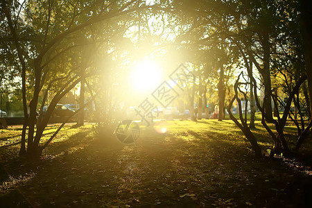 夏季公园景观季节景观图片