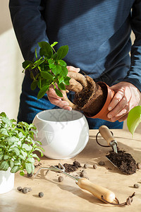 园艺在家种植男人图片