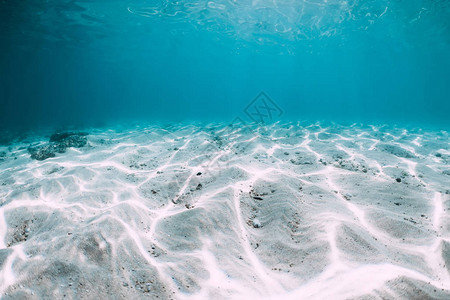 夏威夷水下有白色沙底的蓝色海洋图片