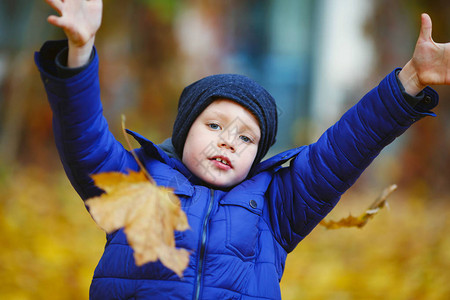 秋天在户外快乐美丽小男孩的画像孩子拿着黄色的枫叶孩子吐出秋图片