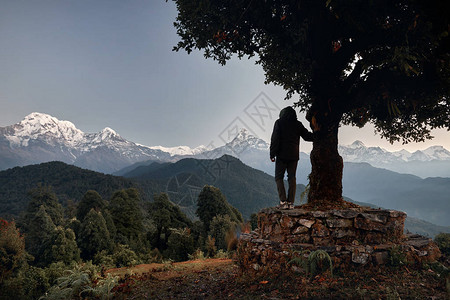 尼泊尔喜马拉雅山马查普沙雷Machapucha图片