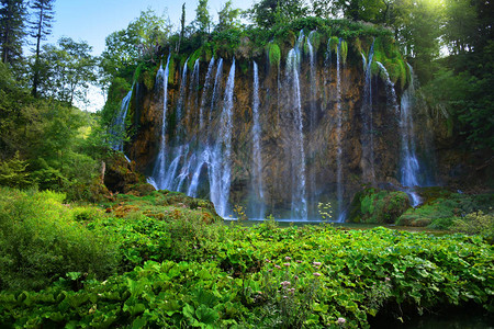 森林中的瀑布克罗地亚国图片