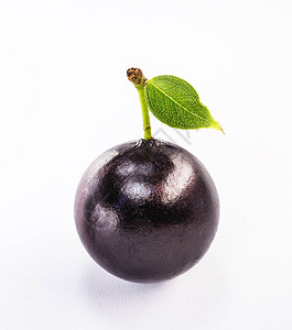 Jaboticaba或jabuticaba是一种紫黑色的白色水果图片