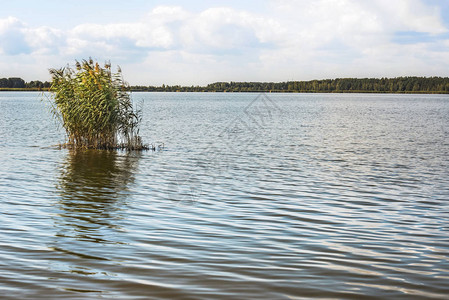 在基辅的第聂伯河海湾的视图图片