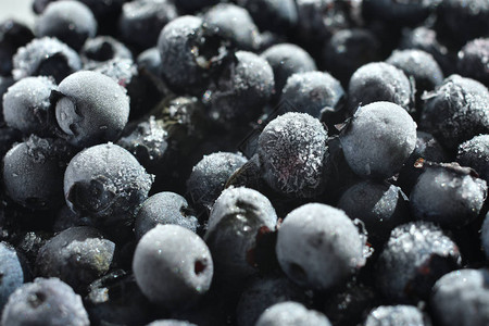 冷冻蓝莓背景关闭选择焦点和弗罗斯特新鲜蓝莓与白色背景上的水滴健康和节食饮的概念软选择焦图片