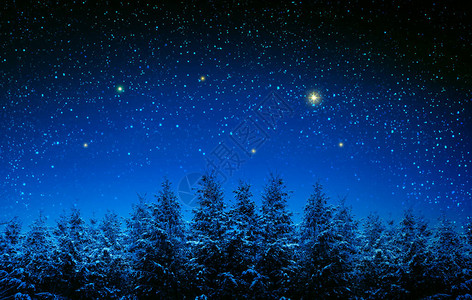 冬天的森林有雪覆盖的冷杉树和星的天空图片