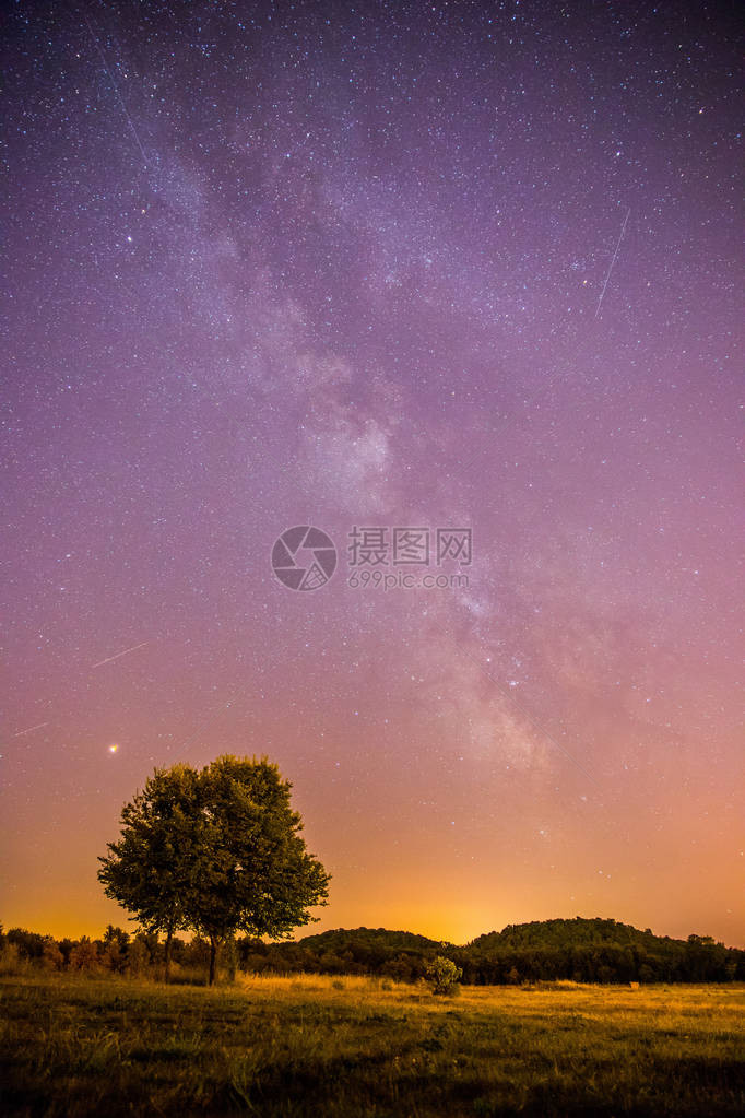 美丽的夜景有星草地和一棵树图片