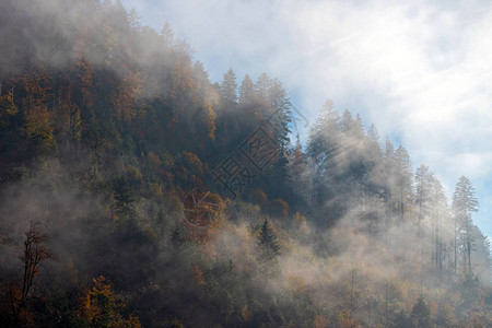 太阳的光芒在森林山上冲破迷雾图片