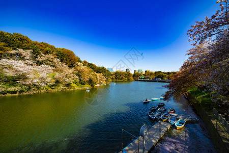 东京新宿区日本图片