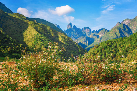 山丘谷在夏天与鲜花和蓝天在旅行和假期度假概念图片