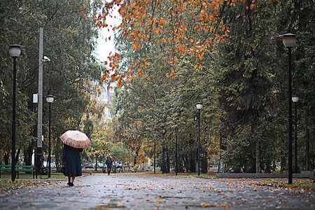 公园的秋天雨图片