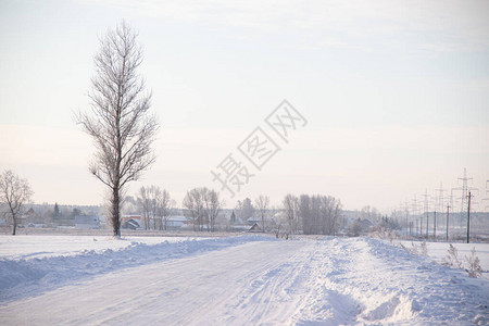 白天的雪路冬季图片