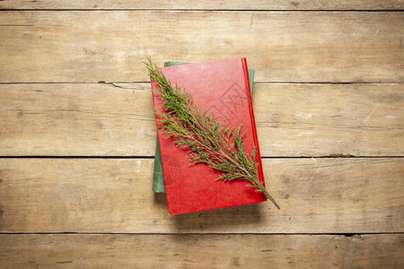 一棵圣诞树的书和小枝和木制背景上的礼物图片