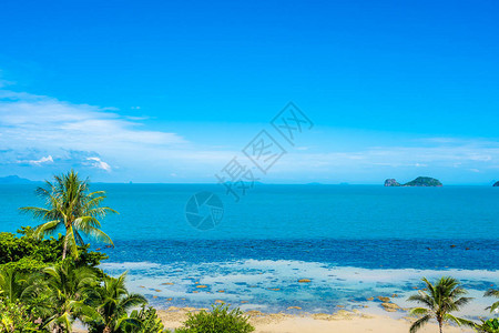 美丽的热带海洋蓝天白云上有椰子树适合背景图片