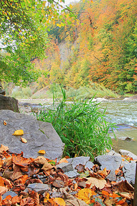 照片中显示喀尔巴阡山脉的秋天风景与山河图片